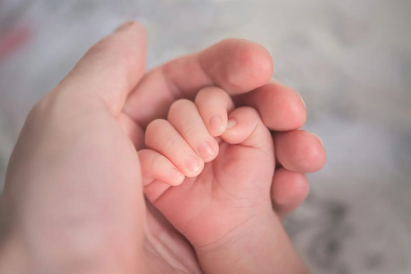 A newborn baby's hand held safely by a parent